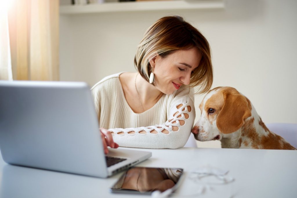 Dog next to owner using laptop